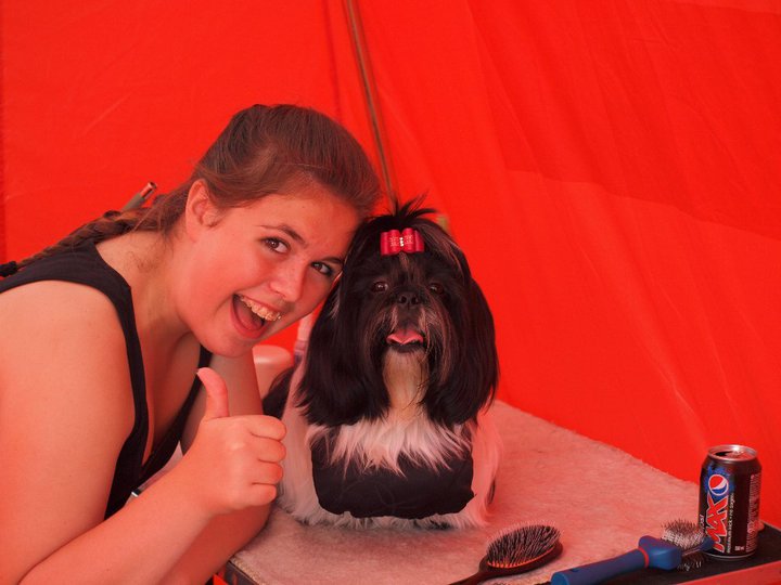 Shih Tzu Danmark